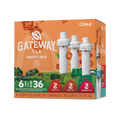 Vitamin-Infused Gateway Tea 6-Pack Variety Pack HM0F - Vitamin-Infused Natural Refreshing Flavor Core - Default Title